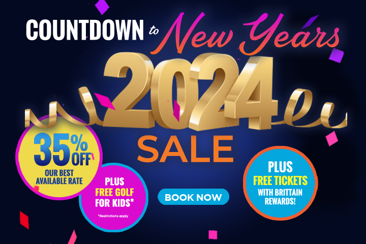 Countdown to New Year's Sale - 40% Off